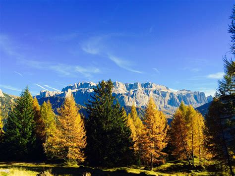 In summer val gardena is the land of climbers and hikers, attracted by the gentle val gardena is not only a destination for sportsmen. Autumn in Val Gardena Gröden www.valgardena.it | Natural ...