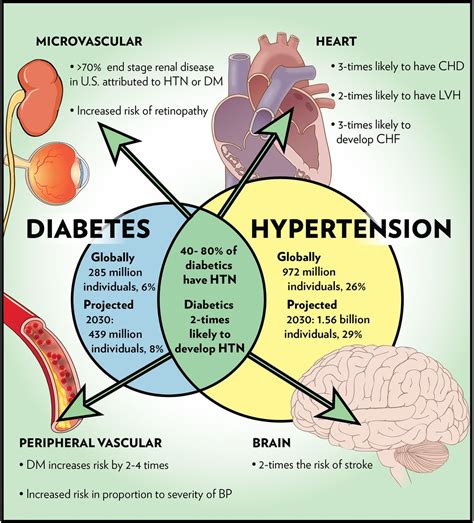 What Is Difference In Type 1 And Type 2 Diabetes