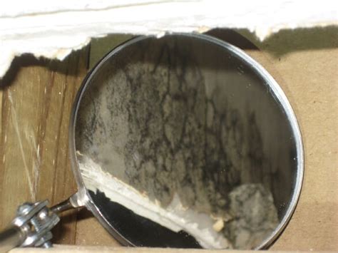 Some are designed to only determine whether mold is present on surfaces. Mold Inspection on Oahu - Fast & Affordable Services ...