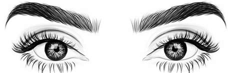 Eyelashes Illustration Eyes Beauty Drawings Creative Makeup