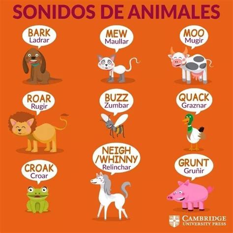 Pin De Zacnité Santos Guadarrama En Sonidos De Animales Animals Sounds
