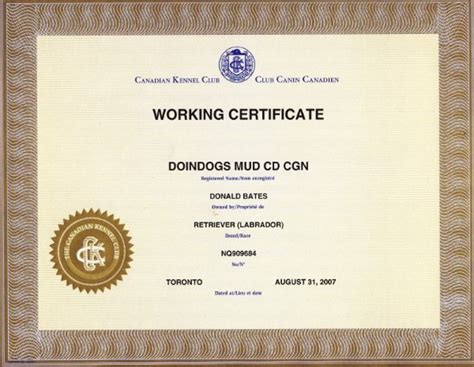 doindogs mud cd tt cgn wc retired