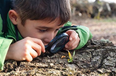 Observe And Learn How A Magnifying Glass Builds Kids