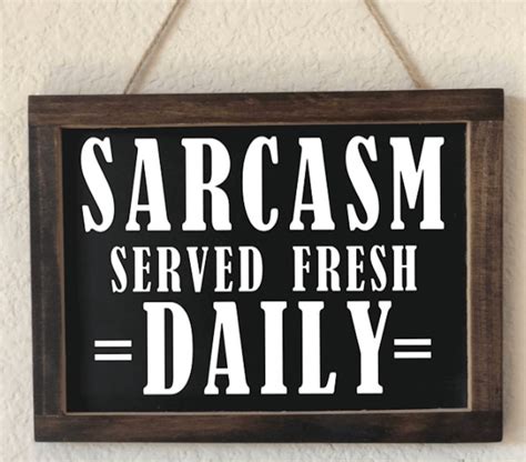 Sarcasm Sign Funny Kitchen Signs Man Humor Sign Funny Man Etsy