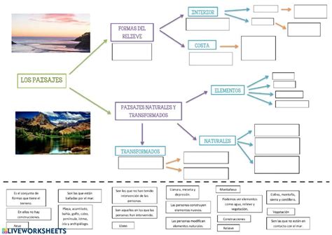 Ejercicio De Esquema El Paisaje Tipos De Paisajes Cuadro De Texto Fichas