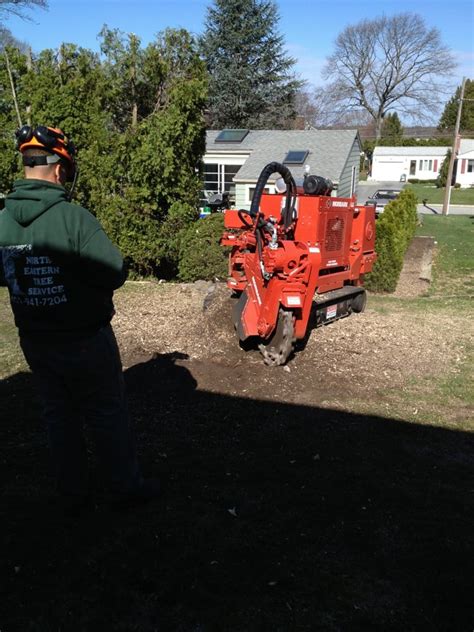 We're a fully licensed, insured, friendly and affordable company. North Eastern Tree Service - 15 Reviews - Tree Services ...