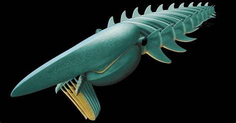 Sea Monster Of Prehistoric Era Resembled 7 Foot Giant Shrimp