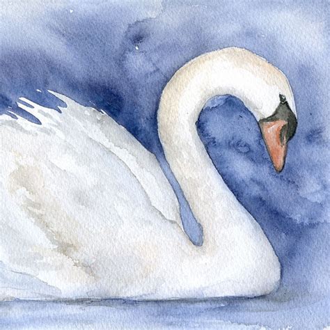 Swan Original Watercolor Painting Susan Windsor