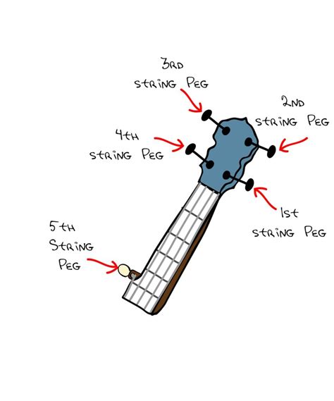 How To String A 5 String Banjo A Step By Step Guide To Get You Ready