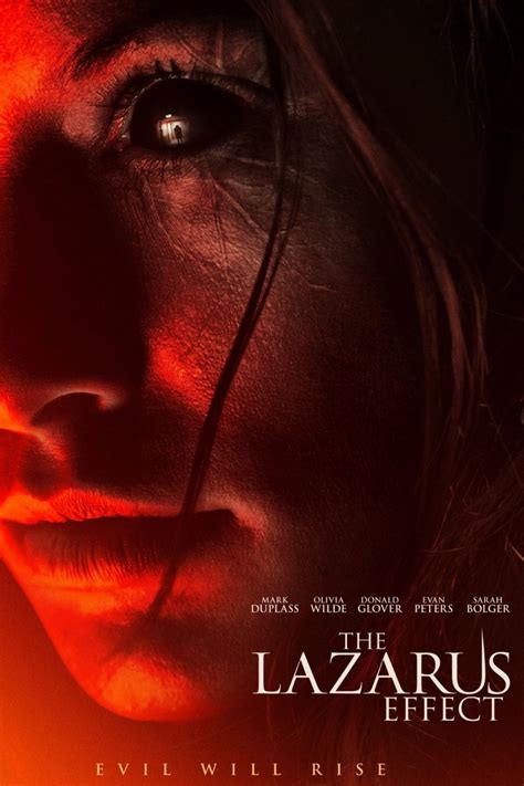 The Lazarus Effect Filmfed Movies Ratings Reviews And Trailers