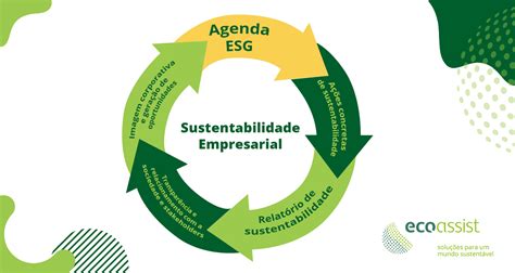 Relatório de sustentabilidade sua relevância além da informação Ecoassist