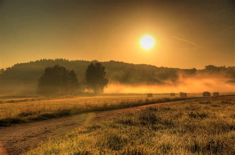 Field Germany Fog Sun Nature Sunrise Wallpapers Hd Desktop And