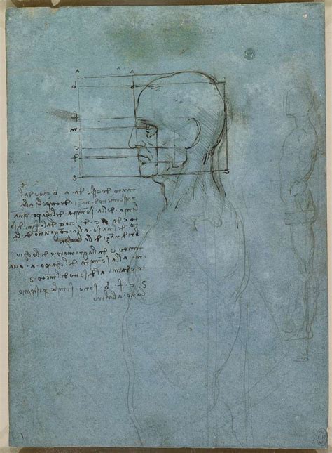 Leonardo Da Vinci RCIN 912601 The Proportions Of The Head And A