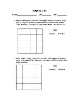 A dihybrid cross tracks two traits. Dihybrid Punnett Square Quiz by Goby's Lessons | TpT