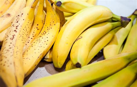 Could The Future Of Bananas Be In Jeopardy By Daniel J Scotti