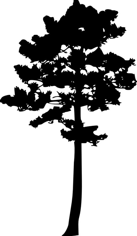 Tagged under heart, silhouette, watercolor, flower, cartoon. 10 Pine Tree Silhouette (PNG Transparent) Vol. 3 | OnlyGFX.com