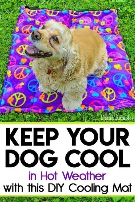 Cat furniture pet accessories cool cats. DIY Dog Cooling Mat Tutorial - Keep Your Dog Cooled Off in ...