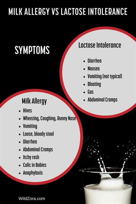 Symptoms of hives in dogs can include: Milk Allergy vs Lactose Intolerance: What You Need to Know ...