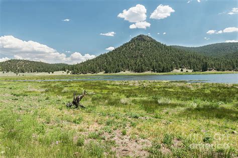 Landscape Quemado Lake New Mexico Photograph By Mike Helfrich Pixels