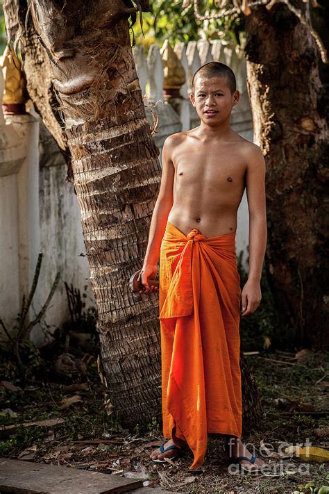 Young Buddhist Monk Ll Photograph By Alexander Mcallan
