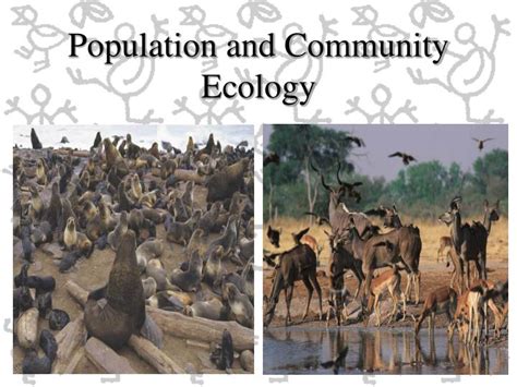 Ppt Population And Community Ecology Powerpoint Presentation Free