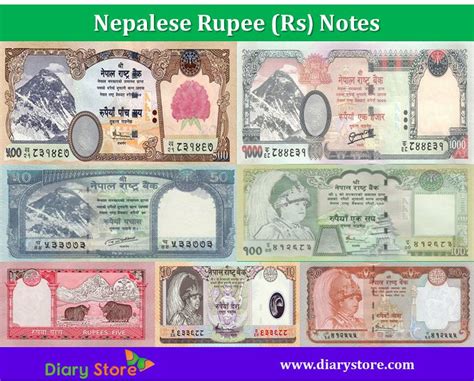 A discrepancy in money transfer Nepalese rupee Currency | Nepal Rupee Notes | Diary Store