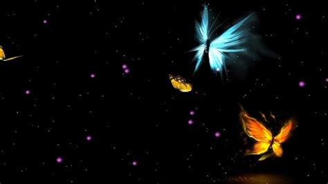 Fantastic Butterfly Animated Wallpaper