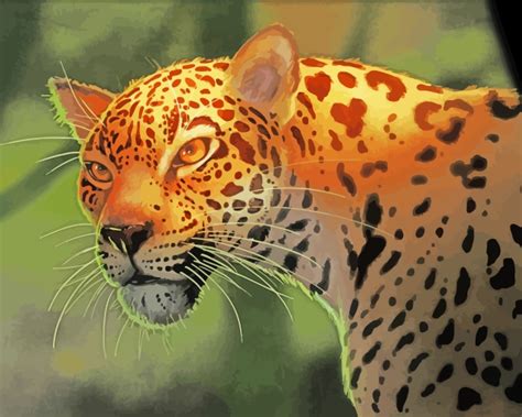 Jaguar Animal Paint By Number Paint By Numbers For Adult