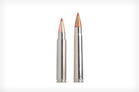 375 Ruger And 416 Ruger — Big Bore Cartridges Shooting Times