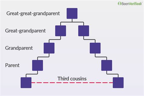 Cousin Family Tree Diagram - vrogue.co