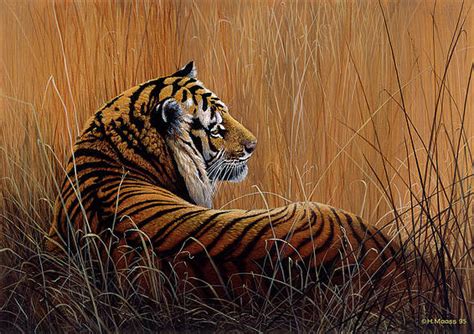 Tiger Paintings Page 2 Of 35 Fine Art America