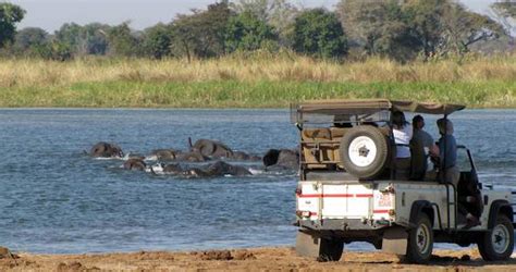 Zambezi River Safari Package Vic Falls Chobe National Park