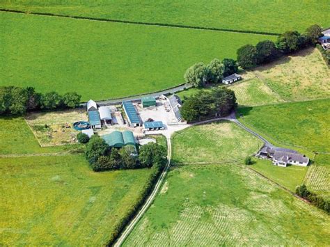 Limerick Stud Farm Sells For Over M At Auction Limerick Leader