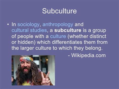 What Is Subculture Theories Definition Examples Images