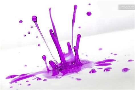 Photo Sharing Splash Purple Art Color Splash