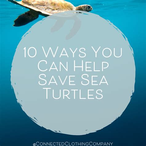 10 Ways You Can Help Save Sea Turtles Connected Clothing Company