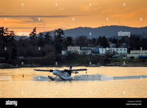 Float Plane Landing In Inner Harbor At Sunset Victoria British