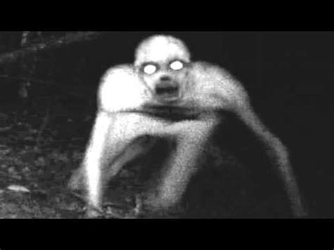 Rake meaning, definition, what is rake: Creepypasta ★ THE RAKE (Lektor PL) - YouTube