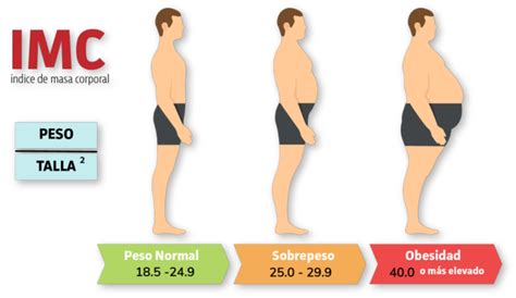 sobrepeso y obesidad ¿cuáles son sus diferencias y cómo afecta a la salud la verdad noticias