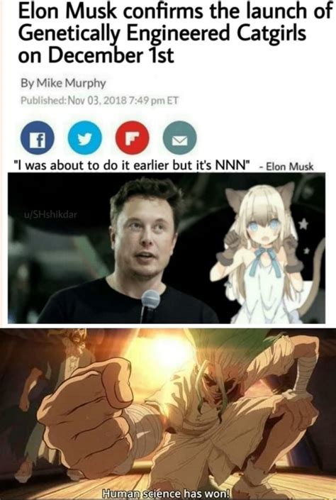 Elon Musk Sword Art Online - Elon Musk confirms the launch of Genetically Engineered Catgirls on