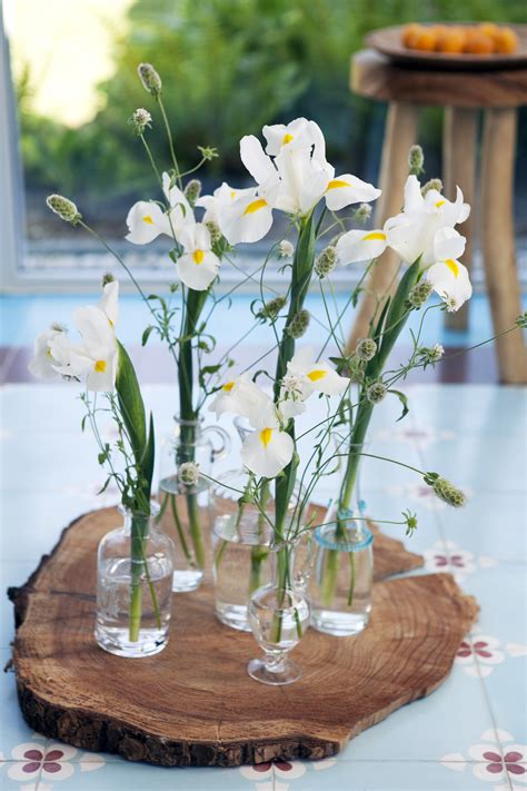 Free for commercial use no attribution required high quality images. Small is beautiful: Mini vases | Funny how flowers do that