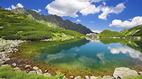 Nature lake landscape reflection fog mountain ice tree ultrahd 4k