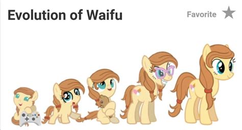 Evolution Of Waifu Favorite