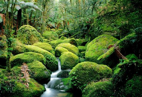 Check spelling or type a new query. Relaxing Images That Will Bring You Instant Calm | Health.com