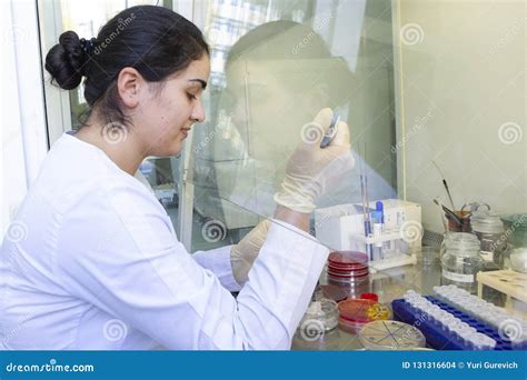 Young Scientist Works In Modern Biological Lab Stock Photo Image Of