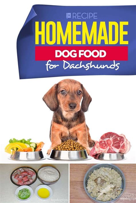 We have handpicked 5 best dog foods and the best one is. Recipe: Homemade Dog Food for Dachshunds | Dog food ...