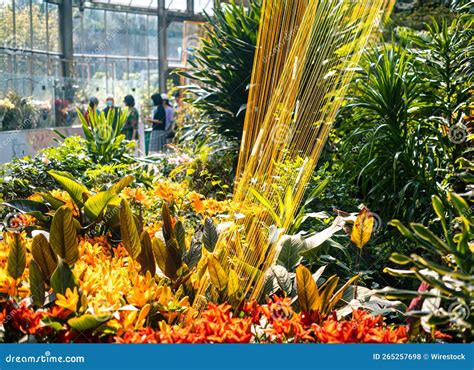Botanical Garden With Colorful Tropical Plants Stock Photo Image Of
