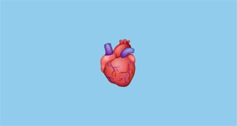 🫀 Corazón Humano Emoji On Whatsapp 22020624