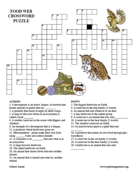 Hhoobbbbiieess aanndd iinntteerreessttss ccrroosssswwoorrdd ppuuzzzzllee wwoorrkksshheeeett look at the numbers on the pictures and write the hobbies in the crossword puzzle… Foodwebs Crossword Puzzle (Middle School-Adult)