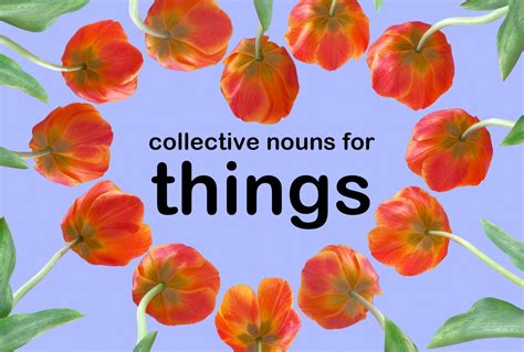 Collective Nouns For Fruits